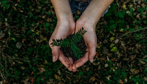Kebakaran Hutan dan Lahan